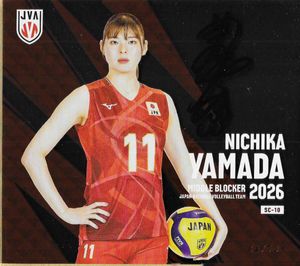 【直筆サイン入り】NECレッドロケッツ 山田二千華 #1 ユニフォーム 日本代表 山田二千華の値段と価格推移は？｜49件の売買データから山田二千華の