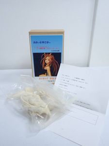 ああっ女神さまっ ベルダンディーの値段と価格推移は？｜67件の売買