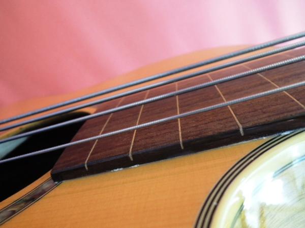 BASSER BASS BB2001 エレアコベース 推す ケース付き