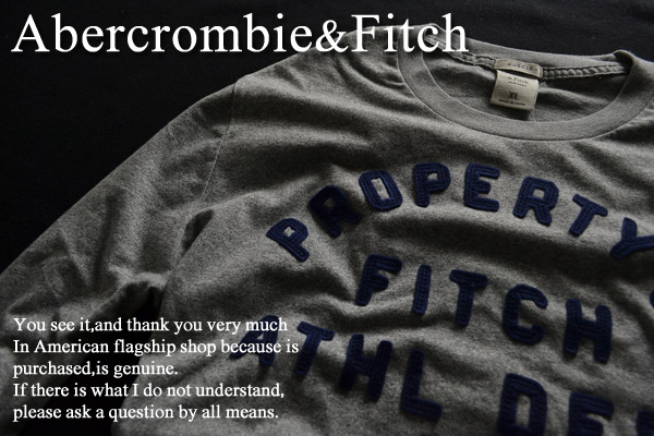 アバクロ【本物】春最新Vintageアップリケ ロンT■XXL/Grey■IR3