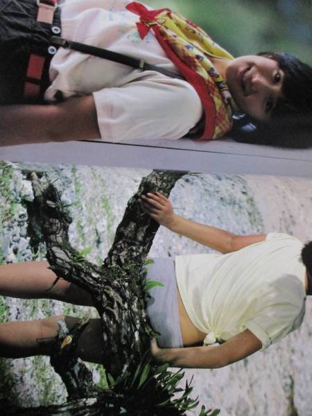  富田靖子 写真集 富田靖子。 初版 帯付/直筆サイン入り_3