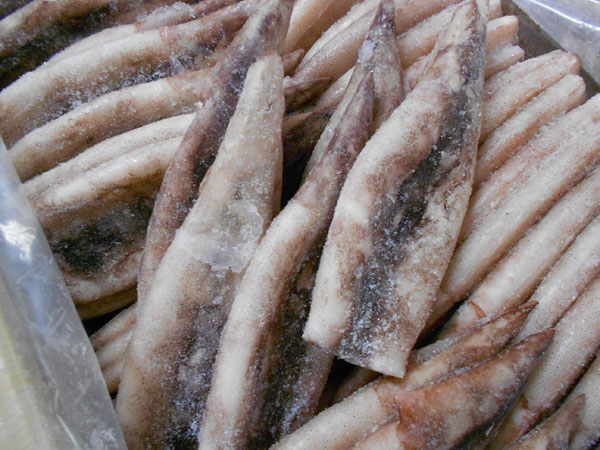 送料無料☆北海道産つぼぬきいか7.5ｋｇ〔E〕北港直販☆イカ烏賊