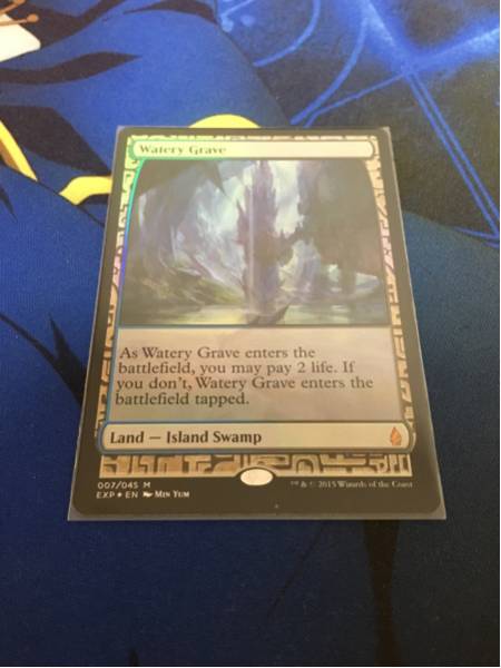 MTG/FOIL/湿った墓 Watery Grave英語1枚 Expeditions