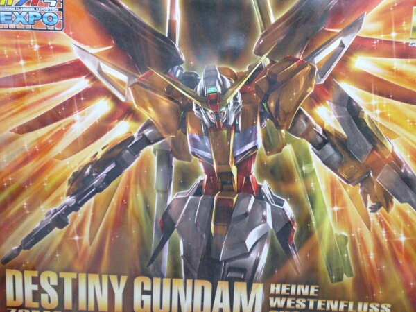 MG 1/100ハイネ専用 デスティニーガンダム EXPO限定 MG 【公式通販】