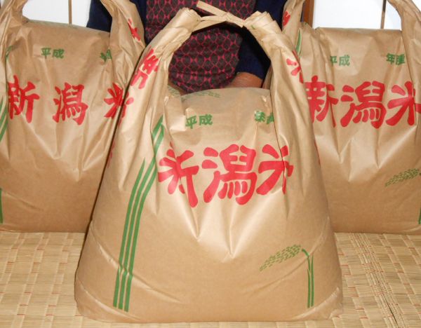 冷や飯を食べる会★新潟産コシヒカリ【10㎏×4回】4/25送料無料