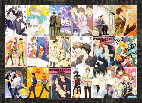 純情ロマンチカ 1〜27巻 世界一初恋 1〜17巻 + 1冊 中村春菊　漫画 今だけ価格 中村春菊 純情ロマンチカ＋世界一初恋＋小冊子 全30冊
