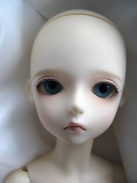 TF Denis at your service タイニーフェアリー 本体のみ　中古