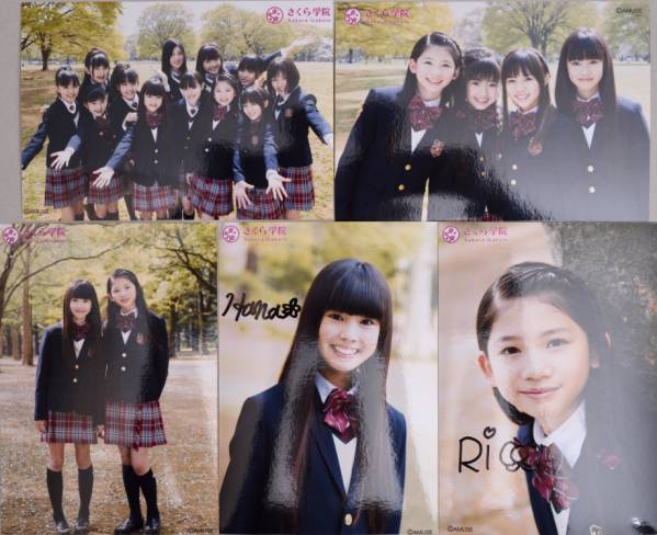 さくら学院 さくら学院 サイン入 生写真 菊地最愛 水野由結 田口華 磯野