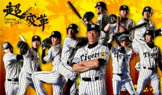 8/12 阪神対中日 内野上段3塁自由席ペア 京セラドーム