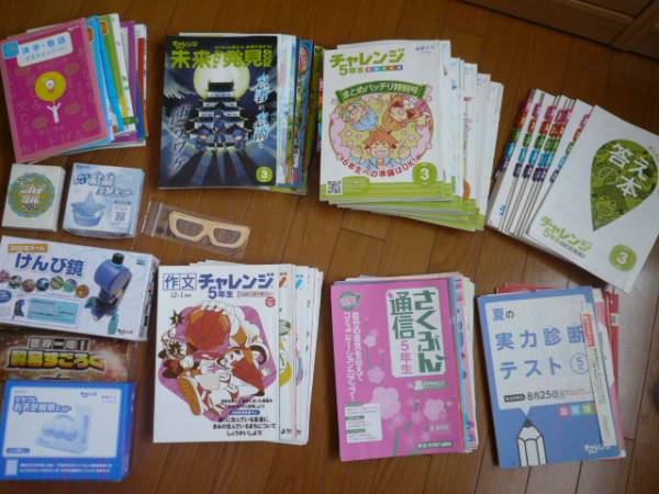 ベネッセ 進研ゼミ チャレンジ5年生と作文チャレンジ 2015年 小学生