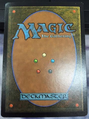 ガイアの揺籃の地 MTG ガイアの揺籃の地 USG 日本語 キズあり