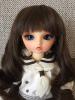 幼SDめぐ(メイクカスタム・中古プレートなし)