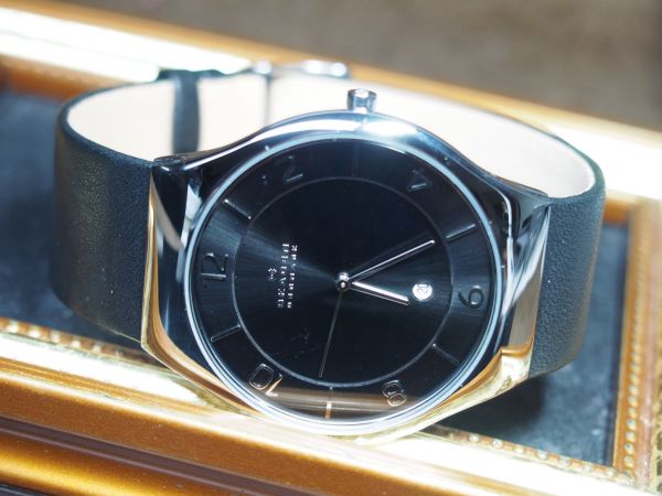 SKAGEN スカーゲン グレーネン メンズ 腕時計 クオーツ タイプ 
