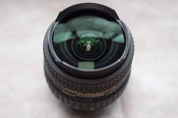 ヤドリギno.107 117302pb10000103.jpg