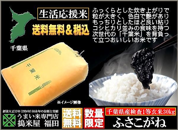 食品 千葉県産ふさこがね（玄米）