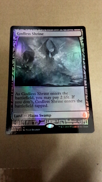 Shrine | Godless 日本最大級 神無き祭殿 土地R Foil《神無き祭殿