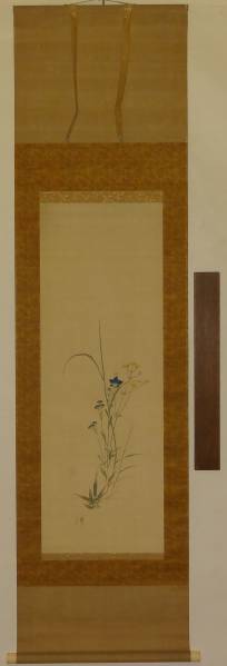 道具 - 渡辺清筆 花図 肉筆紙本掛軸（保護箱）□z | ネット ]