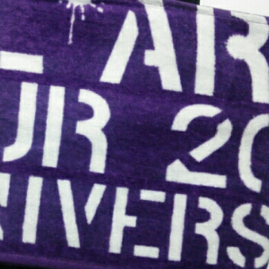 AAA 10th アリーナツアーマフラータオル 紫 宇野実彩子 未使用