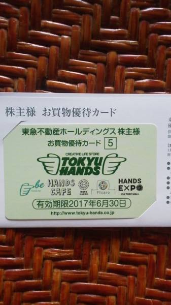 新着　東急不動産ホールディングス株主優待券　オアシス等　送無