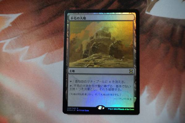 【美品！】不毛の大地　EMA版　日本語　foil MTG | ⁄ 不毛の大地 日本語版 土地R 日本最大級 英)Foil
