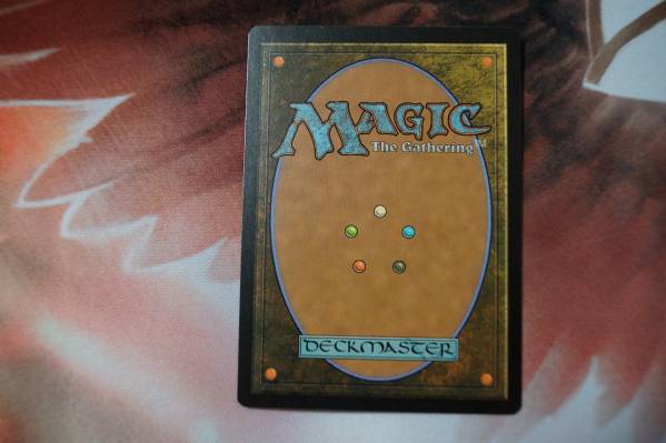MTG | ⁄ 不毛の大地 日本語版 土地R 日本最大級 英)Foil
