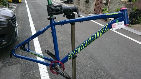 CRUZ カメレオン 土日限定価格⚠️SANTA Chameleon Mサイズ メルカリ