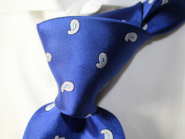 【千/伊】a453新品パルジレリ絶品小紋タイ ビームスFゼニア