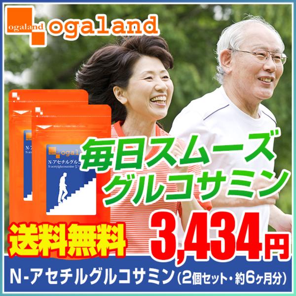 目玉価格 送料無料 Nアセチルグルコサミン(約6ヶ月分)サプリ