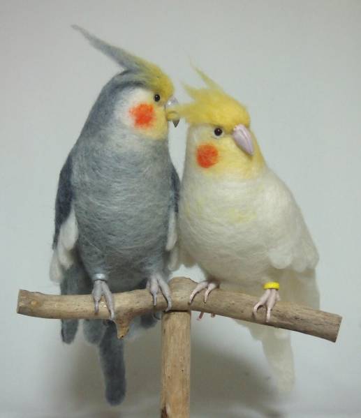 羊毛フェルト オカメインコ 2羽セット 羊毛フェルト・オカメインコ2羽グルーミング・鳥・ハンドメイド