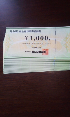 ビックカメラ　株主お買い物優待券　１９０００円分　送料無料