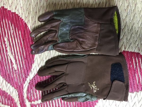 アークテリクス レザーグローブ 手袋 クライミング