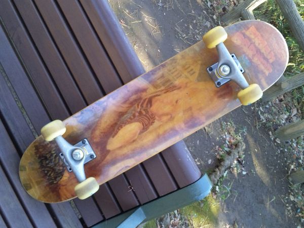 ◇コンプリート◆スケートボード◇