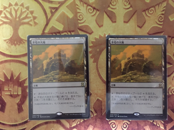 MTG】不毛の大地/Wasteland EMA版 日本語 2枚まで 【公式通販】