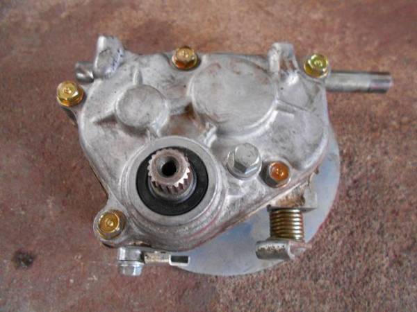 s549732332.1