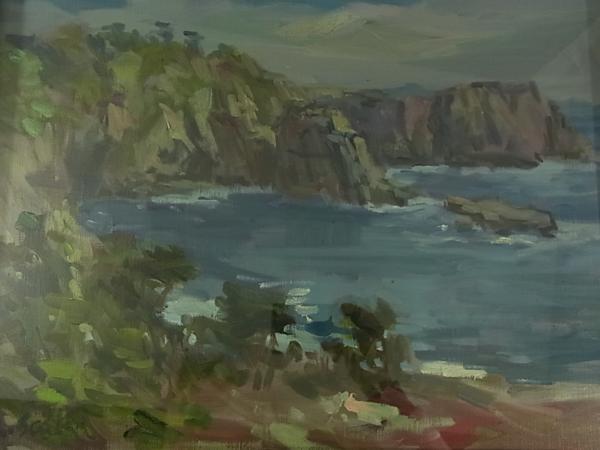 【董芸】日本美術家連盟 雑賀紀光 『三段壁』 風景画 6号