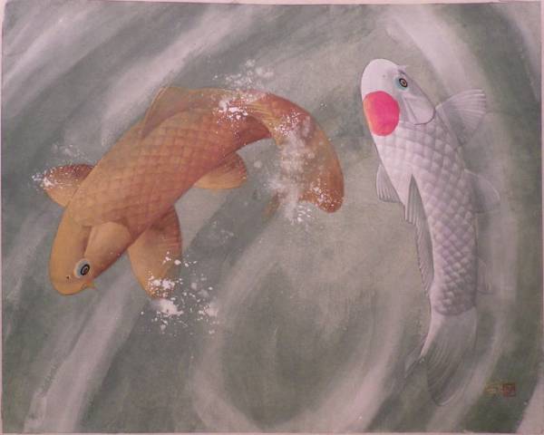 1円～五十嵐晴徳　錦鯉　★★