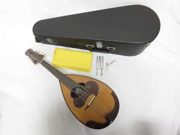 16/57-03◆ 落合忠男 マンドリン 弦楽器 ハードケース付き