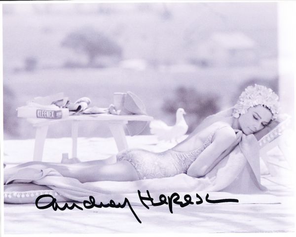 【超貴重】★オードリー・ヘプバーン★直筆サイン写真★証明書COA 20×25cm オードリー・ヘプバーン 直筆サイン写真☆証明書COA◇3771 Yahoo