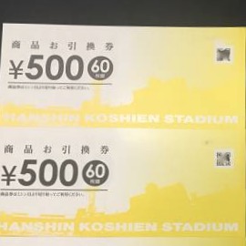 阪神甲子園球場 商品お引換券 30,000円分 1冊 (500円券×60枚) No12
