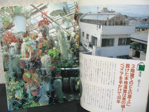 温室&サンルーム園芸を楽しむ本 江尻光一 ビニールハウス観葉植物 蘭 洋ラン食虫植物ベゴニア チランジア エアプランツ サボテン 多肉植物_3