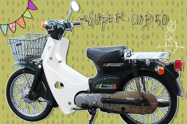 スーパーカブ50 デラックス C50 12V 実動 レストアベース