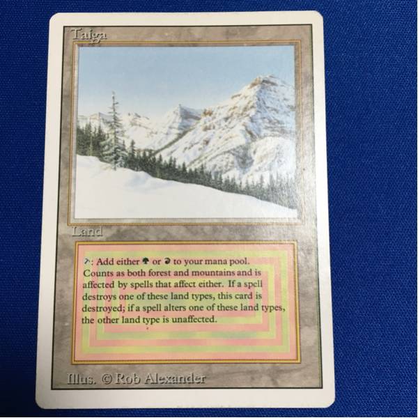 mtg taiga Taiga 【公式通販】