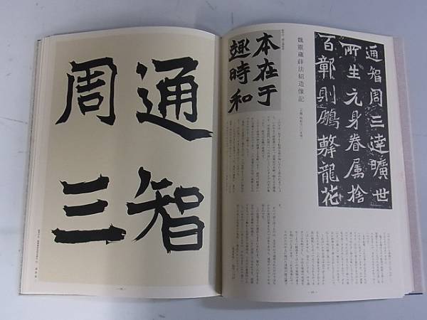 現代日本書法集成 全12巻中11冊 尚学図書 青山杉雨