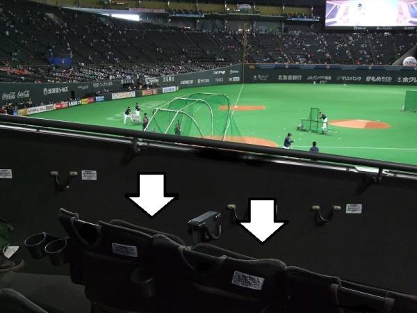 6/11(日)日ハムＶＳ巨人☆１塁スターシート☆最前列通路側ペア