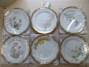 GALA ノリタケ CONTESSA プレート6枚 ガラ コンテッサ 21㎝ Noritake 6