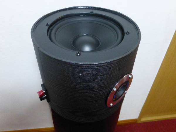 20cm2ウェイ ダブルバスレフ チタンホーンツイーター 自作波動