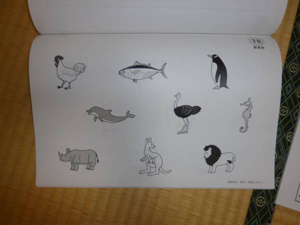 理英会 ばっちりくんドリル 2冊セット クイズなぞなぞ 短文の記憶 幼小学校受験 小学校 売買されたオークション情報 Yahooの商品情報をアーカイブ公開 オークファン Aucfan Com