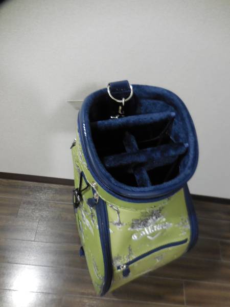 ☆新品人気★Style Safari（スタイルサファリ）限定モデル グリーン 新品_3