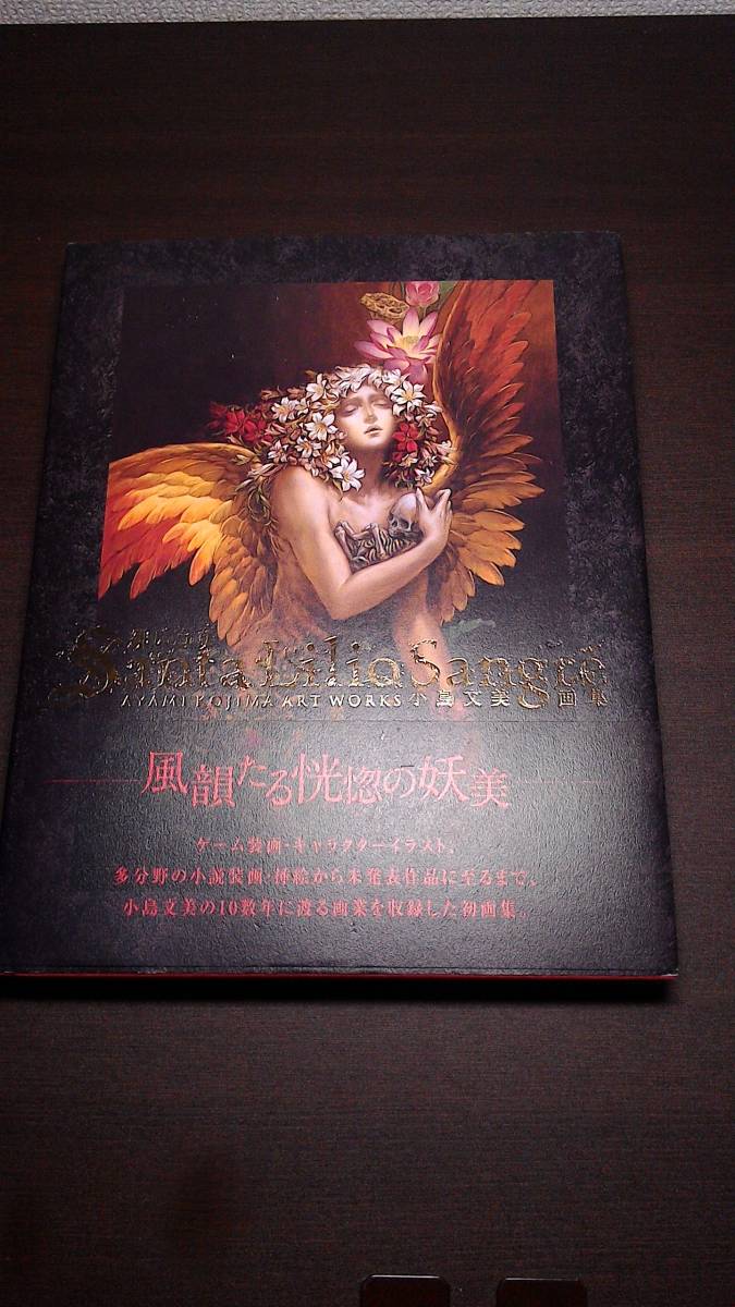 Sangre Lilio アートワークス(PSソフト特典 絶版 2026年最新小島文美 緋い