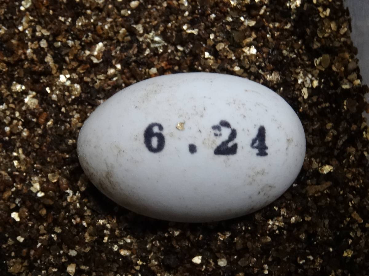 m193615278.3